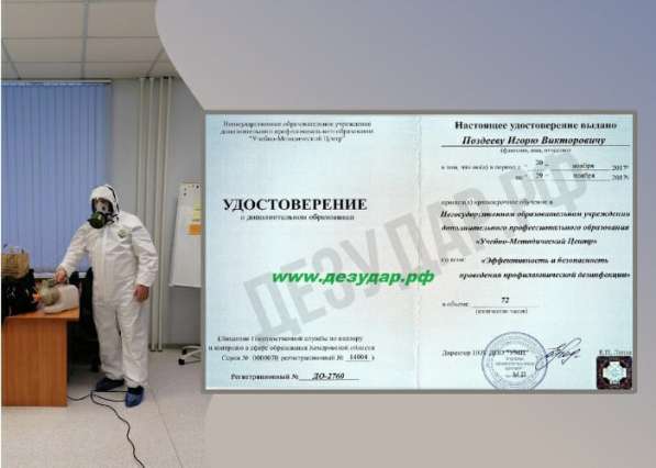 Уничтожение насекомых в Кемерове фото 4