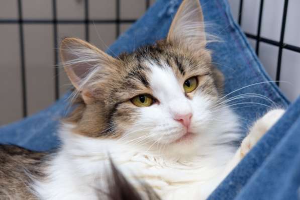 Жизнерадостная Ариэль спешит навстречу друзьям