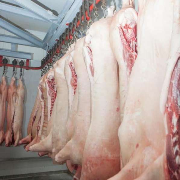 Производство и оптовые продажи мяса в ассортименте в Москве фото 4