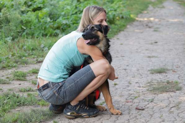 Щенок-подросток Вилли в добрые руки в Москве фото 10