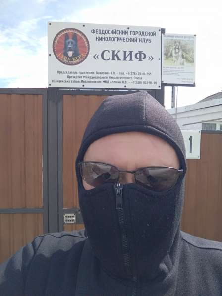 Клуб Скиф индивидуальная дрессировка собак