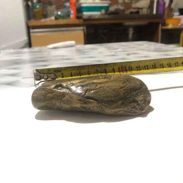 Натуральный камень, окаменелости