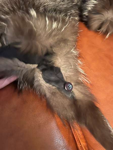 Шапки чернобурка в Чебоксарах