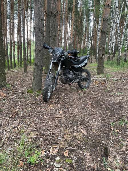 Продам рейсер пантера