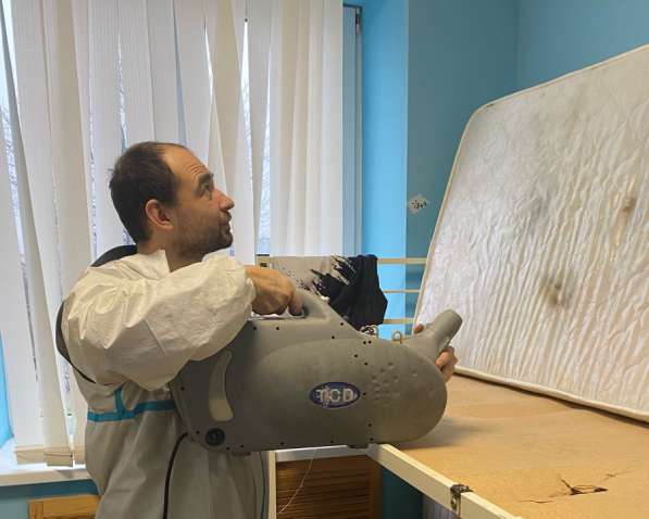 Уничтожение клопов, тараканов, дезинфекция, дезинсекция