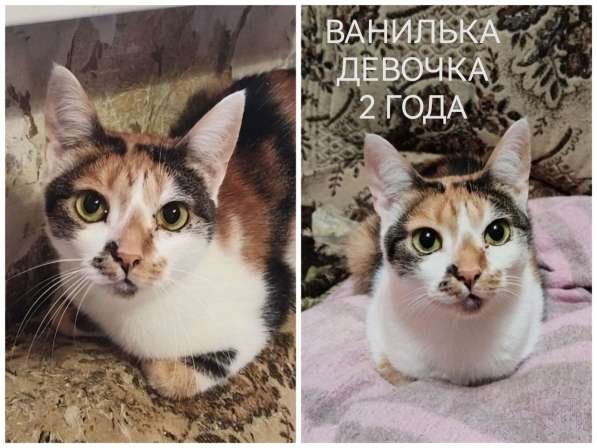 ПОЖАЛУЙСТА, НЕ ПРОХОДИТЕ МИМО!!! в фото 3