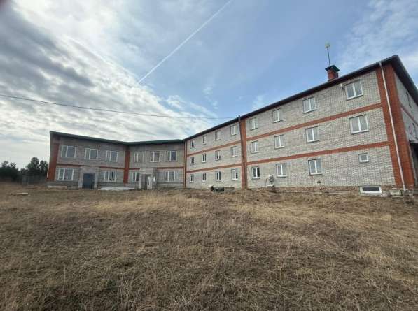 Ферма / Конюшня / Эко-хозяйство в Красноярске фото 5