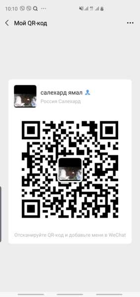 Продам панты Северного оленя в Салехарде фото 3