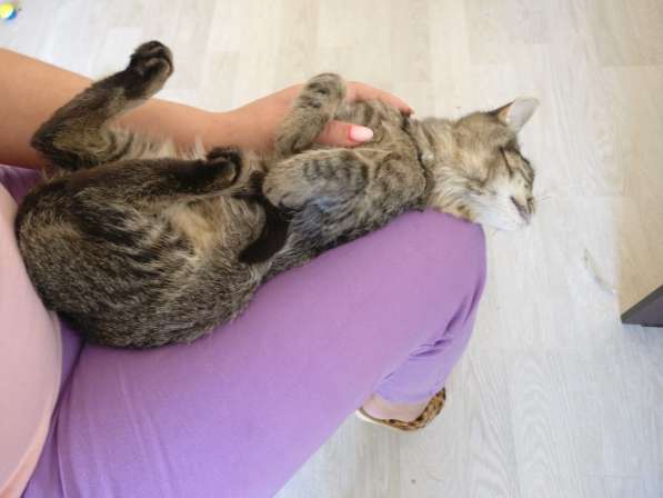 Мурлыка-котенок с дефектом глазика очень ищет дом в Санкт-Петербурге фото 24