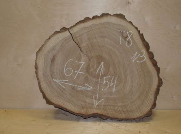 Поперечные спилы карагач в Москве фото 9