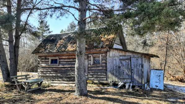 Зимняя дача на берегу живописного озера в Пскове фото 24