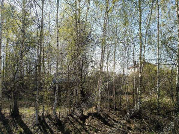 realty_mapper3.plot_in_locationИндивидуальное жилищное ст-во. Есть Электричество, Газ. в Москве