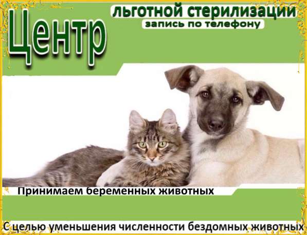 Льготная стерилизация животных в Иркутске