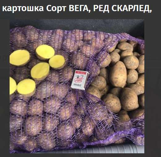 Продам картофель в Хабаровске
