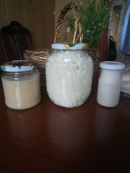 Козья молочная продукция в Костерёво фото 7