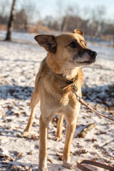 Харизматичный Марк ищет дом в Москве фото 7