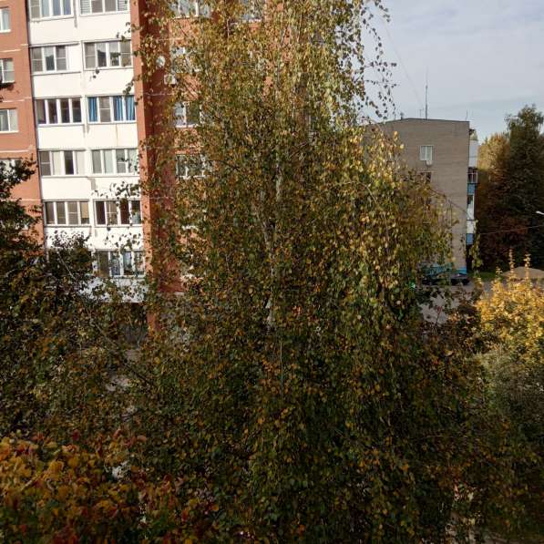 Сдаю квартиру в микрорайоне Депо в Лобне фото 19