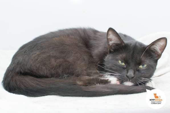 Мадонна - грациозное произведение искусства в Москве фото 4