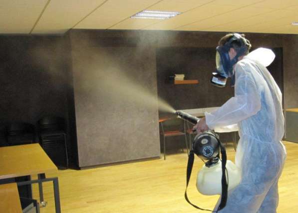 Дезинсекция и дератизация в Волгограде фото 4