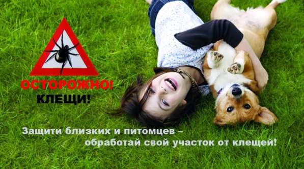 Акарацидная обработка от клещей в Зеленогорске