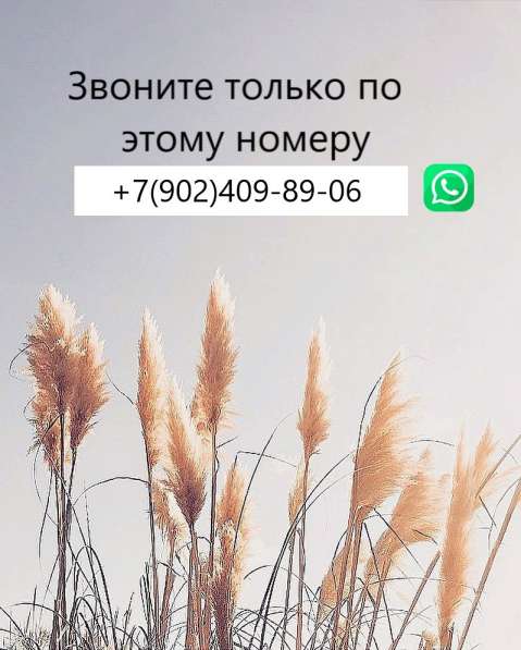 Сдам комнату рядом с ТюмГУ в Тюмени фото 3