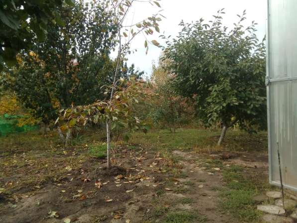 Дом с ремонтом в Ростове-на-Дону фото 29