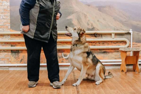 Нежнющий Купер в Москве фото 30