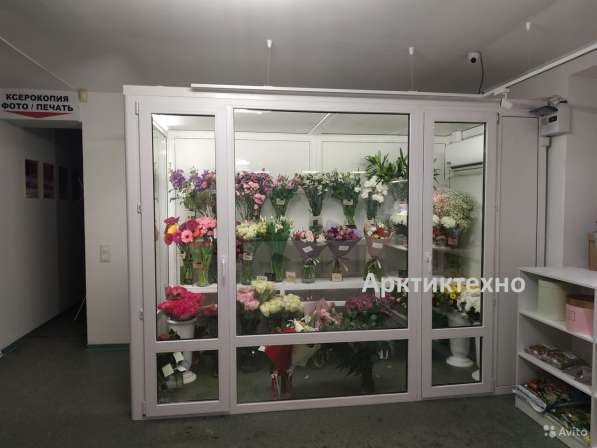 Холодильная камера для цветов 10 м3 в Новосибирске фото 3