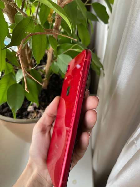 IPhone XR 64gb в Краснодаре фото 5