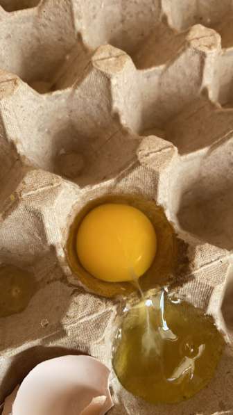 Яйцо Куриное Фермерское Кремовое в Ставрополе