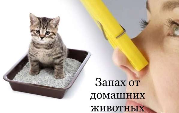 Неприятный запах в Чебоксарах