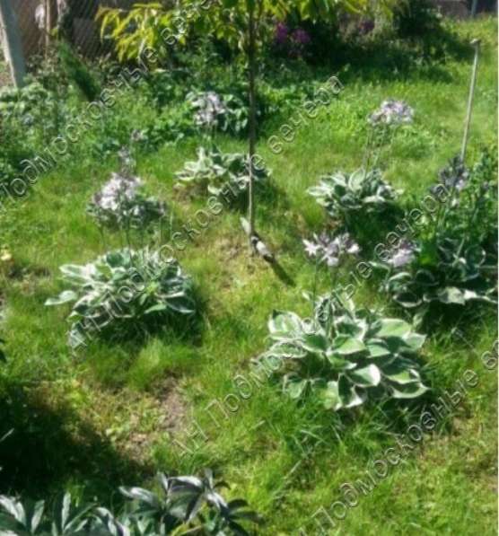 realty_mapper3.plot_in_locationПлощадь 6.60 сот.Есть Электричество, Газ. в Москве фото 16