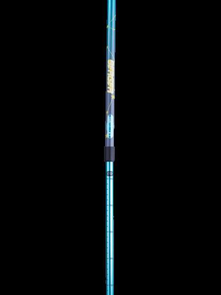 Палки для скандинавской ходьбы Starfall, 77-135 см, 2-секционные, синий/серый/жёлтый в Сочи фото 5
