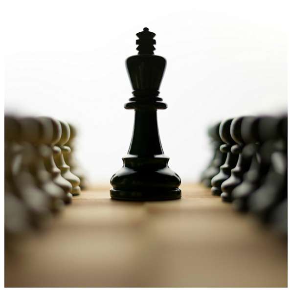 Обучение шахматам и шашкам в Зеленограде для всех желающих в Зеленограде фото 3