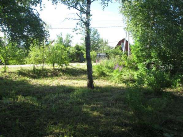 Продается земельный участок 30 соток в д. Макарово, Можайский р-он, 100 км от МКАД по Минскому шоссе. в Можайске фото 3