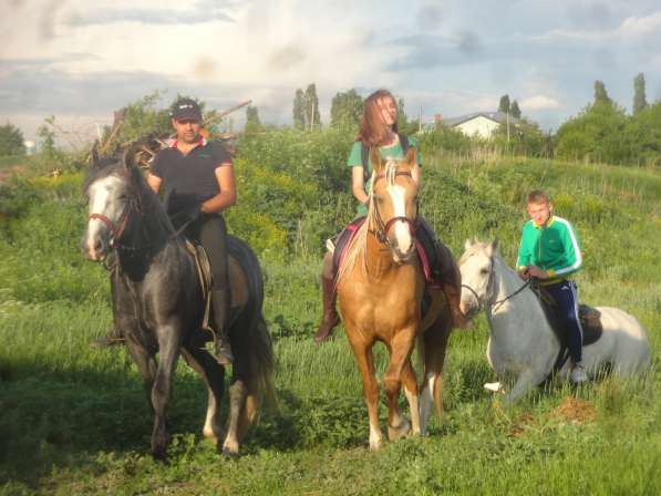 Прогулки на лошадях в Воронеже фото 14