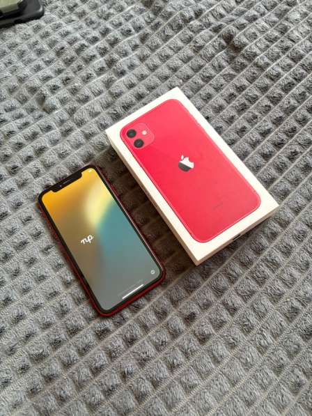 Apple 11