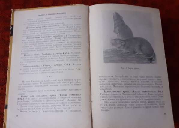 Справочник по борьбе с вредителями сельскохозяйственных куль в фото 3