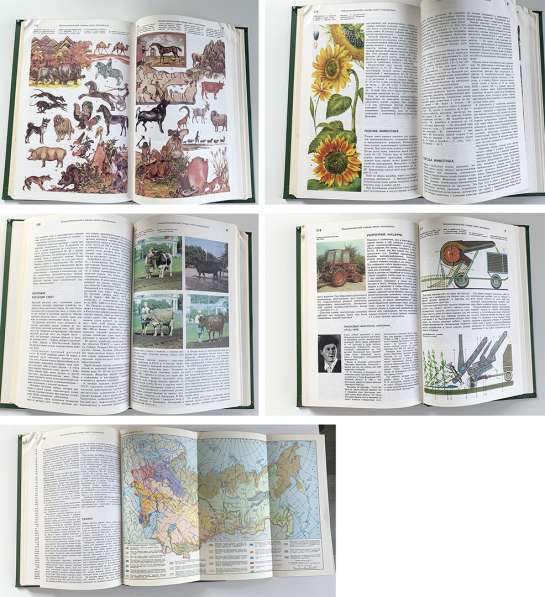 Книги про сад и огород 90-х в Тюмени фото 5
