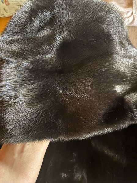 Шуба в Владикавказе