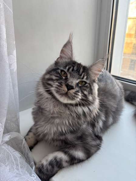 Вязка в Нижнеудинске