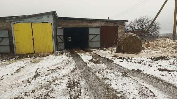 Агрохолдинг ищет соинвестора в Москве фото 5