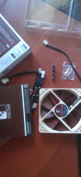 Noctua NF-P12 pwm