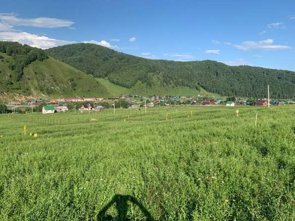 Продам у часток в Горно-Алтайске фото 5
