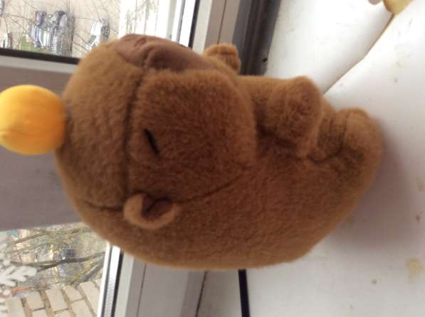 Игрушка капибара ? строго ехать ко мне!!!! в Москве фото 3