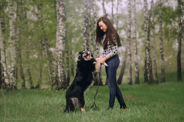 Пушистая весёлая Дакота ищет семью в Москве фото 25