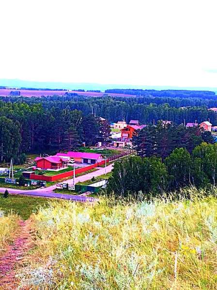 Продам 13 соток вокруг смешанного леса 230 000₽ в Красноярске фото 4