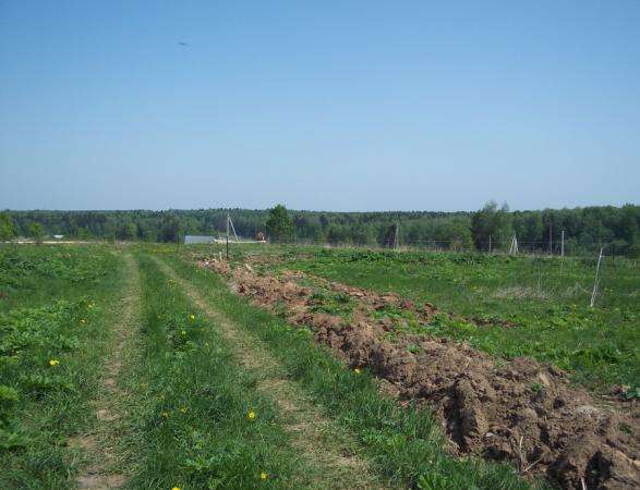 Продается земельный участок 18 соток в Сокольниково, Можайский район, 123 км от МКАД по Минскому шоссе. в Можайске фото 4