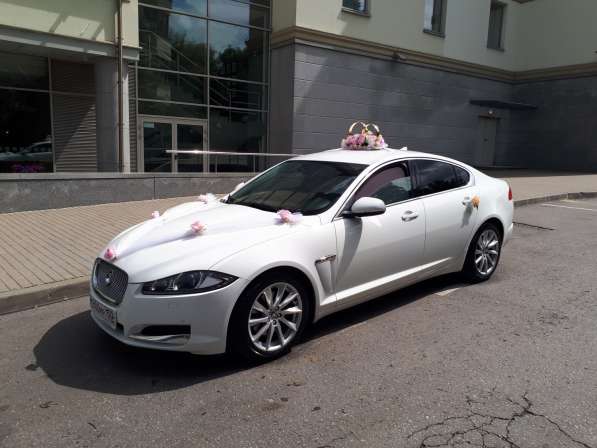 Автомобиль с водителем Ягуар xf, автомобиль на свадьбу