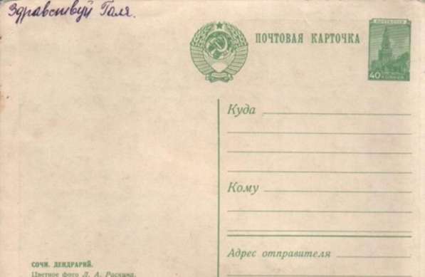 Почтовая карточка Сочи Дендрарий 1955 СССР в Сыктывкаре